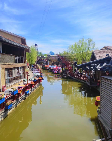 小桃兔兔